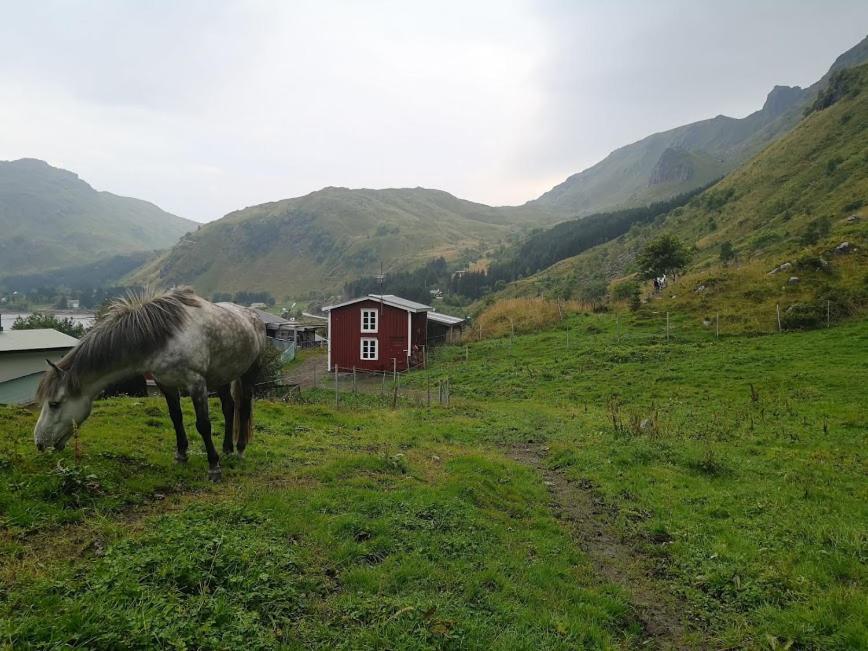 Glamping Lofoten Hotel Kongsjorda Luaran gambar